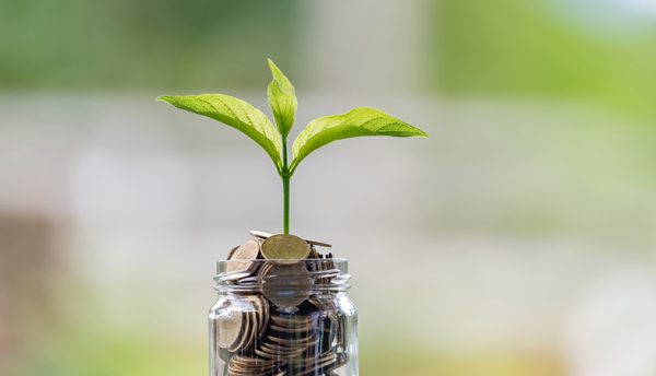 Report finds sustainability deprioritised as banks respond to the economic crisis